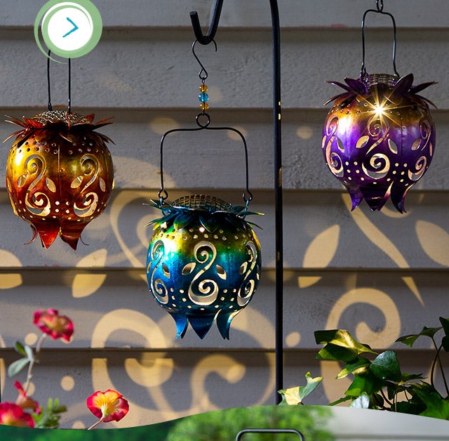 capture every bit of sunshine to help light up your nights

shop our collection of solar-powered lights and decorations
