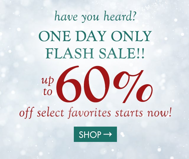 have you heard?! ONE DAY ONLY FLASH SALE!! up to 60% off select favorites starts now! 