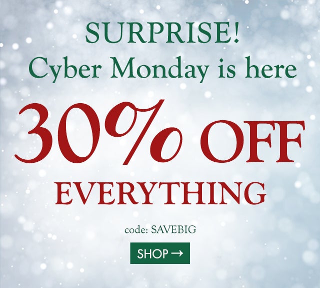 SURPRISE! CYBER MONDAY STARTS NOW  30% OFF EVERYTHING code:  SAVEBIG