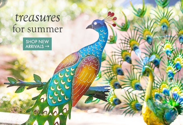 Lifestyle Image of a Peacock Garden Stake. treasures for summer. SHOP NEW ARRIVALS.