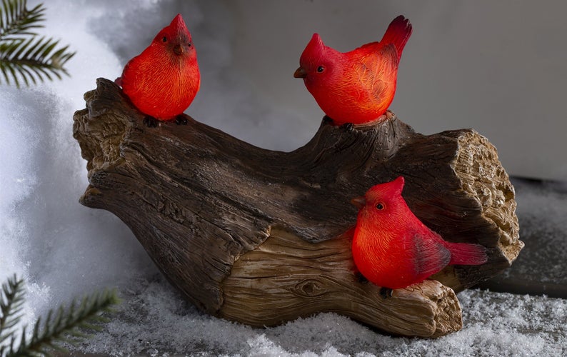 Image of Solar Cardinals on Log