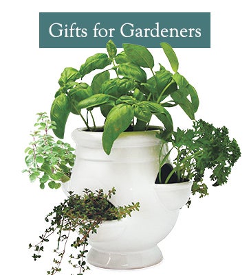 An herb garden planter full of basil, parsley and thyme. Shop Gifts for Gardeners