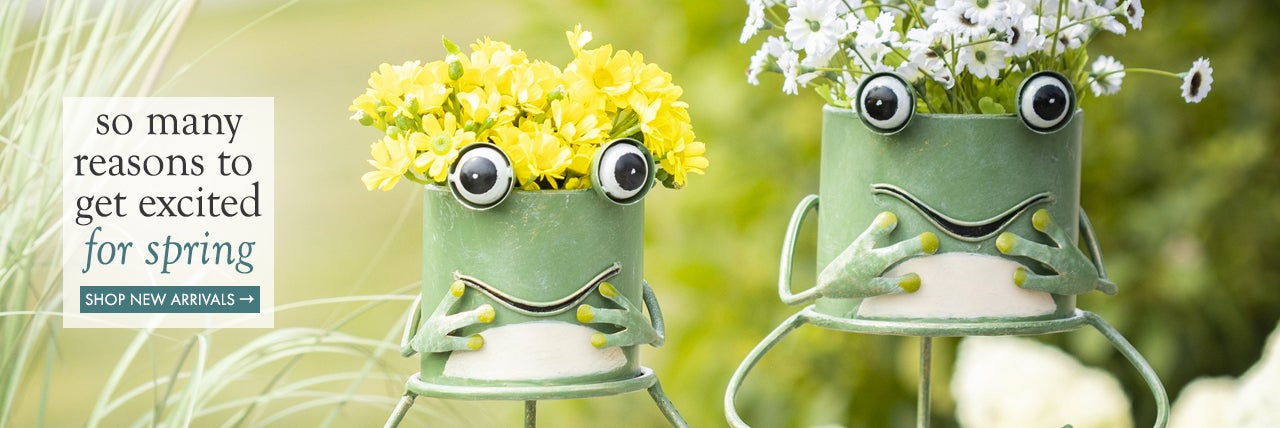 Image of Frog Planters with flowers - so many reason to get excited for spring SHOP NEW ARRIVALS