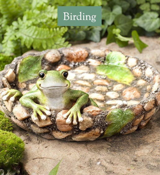Image of Happy Frog Tabletop Birdbath. Birding